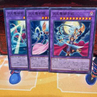 No.1631 P shop moonlight set