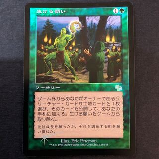 生ける願い 日語 foil