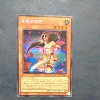 Rose Diviner Secret Rare JP009 [Mokurindo].