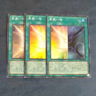 Front and Back Super Rare x 3 JP005 [Mokurindo].