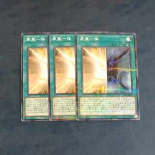 Omoteyorinidai x3 Parallel Normal JP005 [Mokurindo] (Japanese only)