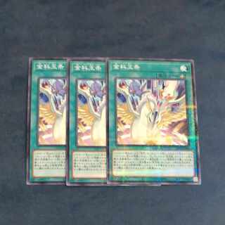 Kinkeijinjyo Parallel Normal x 3 [Mokurindo].