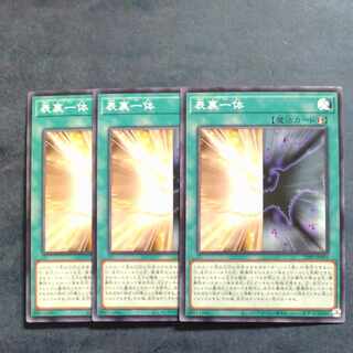 Omoteyorintai Normal x 3 JP005 [Mokurindo