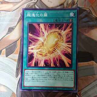 Cocoon of Ultra Evolution