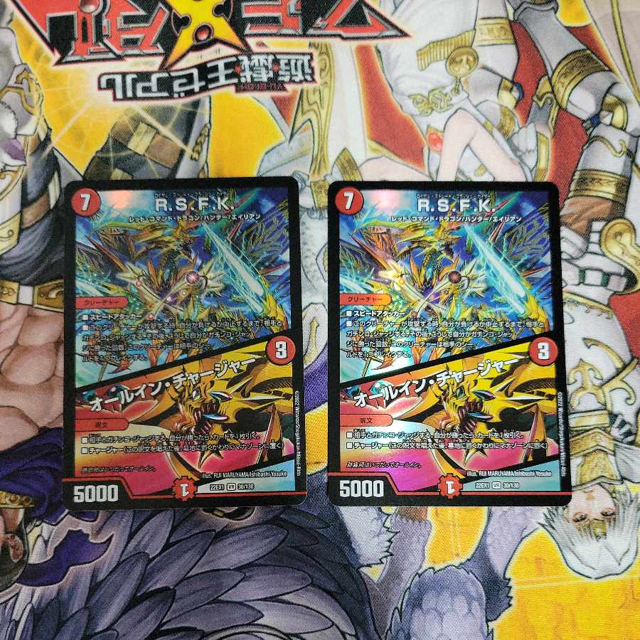 R.S.F.K.|All-in charger VR 30/130 2pcs.