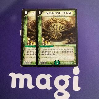 シェル・フォートレス