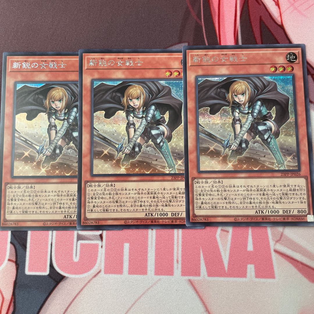 3 new female warriors, Sikhs.