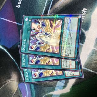 Kinshinjikan Premium Pack 2023