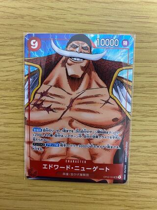 Edward Newgate Parallel One Piece Card Game: The Summit Battle