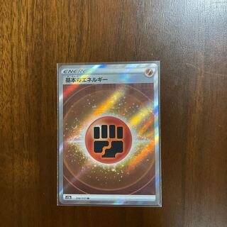 基本闘エネルギー SR 256/172