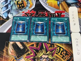 Book of Moon GS02 1 Normal, set of 3 Tera