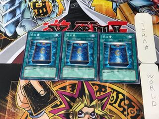 Book of Moon GS02 2 Normal, set of 3 Tera