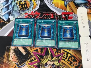 Book of Moon GS02 7 Normal, set of 3 Tera