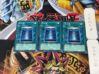 Book of Moon GS02 10 Normal, set of 3 Tera