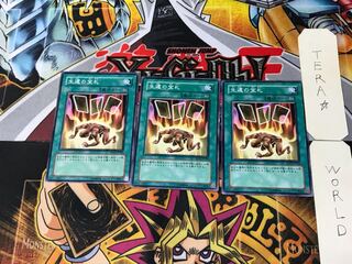 Card of Safe Return SD15 5 Normal, set of 3 Tera