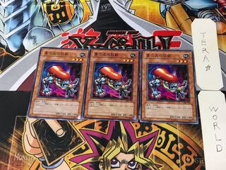 D.D. Crazy Beast 302 4 Normal, set of 3 Tera.