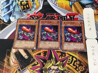 D.D. Crazy Beast 302 5 Normal, set of 3 Tera.