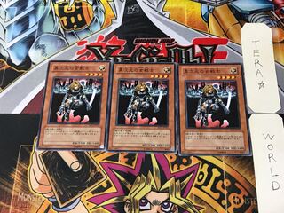 異次元の女戦士 SD17 3 ノーマル 3枚セット てら