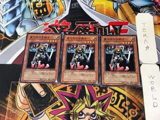 異次元の女戦士 SD17 5 ノーマル 3枚セット てら