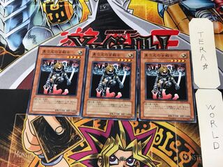 異次元の女戦士 SD5 3 ノーマル 3枚セット てら