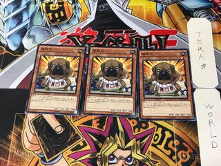 横綱犬 RATE 1 ノーマル 3枚セット てら