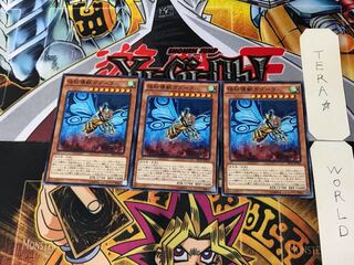 Gadarla, the Mystery Dust Kaiju EP16 5 Normal Set of 3 Tera