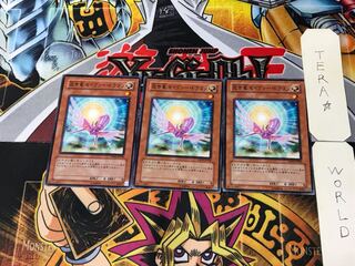 救世竜 セイヴァー・ドラゴン DP09 2 ノーマル 3枚セット てら