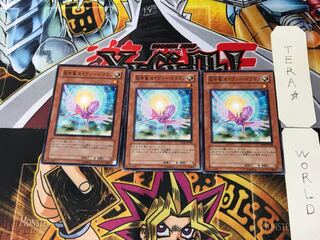 救世竜 セイヴァー・ドラゴン DP09 3 ノーマル 3枚セット てら