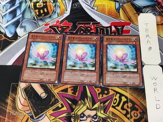 救世竜 セイヴァー・ドラゴン DP09 4 ノーマル 3枚セット てら