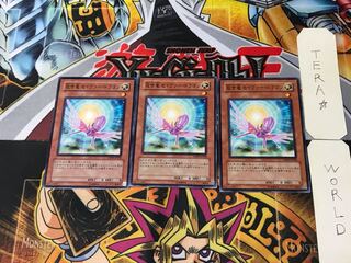 救世竜 セイヴァー・ドラゴン DP09 6 ノーマル 3枚セット てら