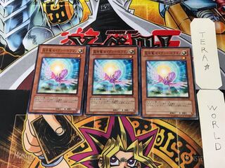 救世竜 セイヴァー・ドラゴン DP09 8 ノーマル 3枚セット てら