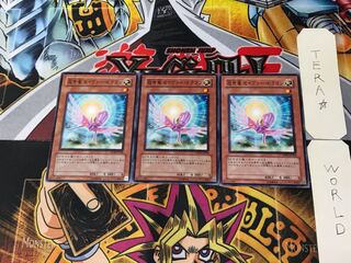 救世竜 セイヴァー・ドラゴン DP09 9 ノーマル 3枚セット てら