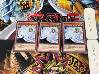 Vanity's Ruler DE01 7 Normal, set of 3 Tera.