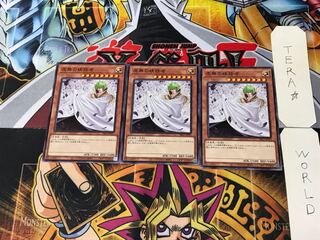 Vanity's Ruler SR12 1 Normal, set of 3 Tera.