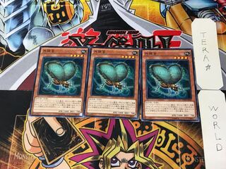 Resonance Insect DUEA 3 Normal, set of 3 Tera