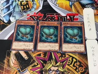 Resonance Insect DUEA 6 Normal, set of 3 Tera