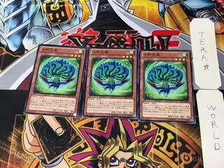 九蛇孔雀 PR03 6 ノーマル 3枚セット てら