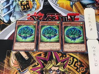 九蛇孔雀 PR03 7 ノーマル 3枚セット てら