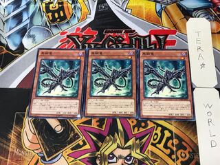 Dedicated to Mr. PAISON 1枚