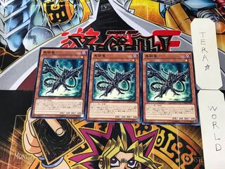 Black Metal Dragon CORE 6 Normal 3-card set Tera