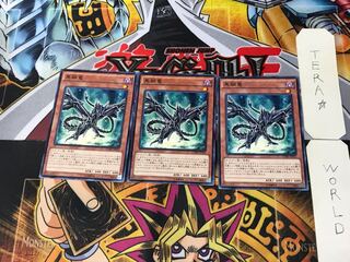 Black Metal Dragon CORE 9 Normal, set of 3 Tera.