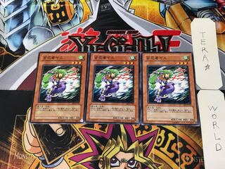 女忍者ヤエ EE2 2 ノーマル 3枚セット てら