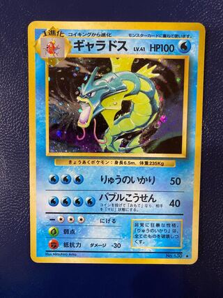Gyarados Old Back