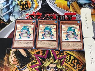 Ronintoadin DE04 2 Normal, set of 3 Tera