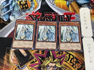 Maiden with Eyes of Blue DP20 3 Normal, set of 3 Tera.