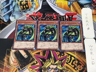 Wandering King Wildwind PP19 1 Normal Set of 3 Tera