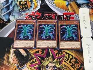 Predaplant Sarraceniant SPFE 4 Normal Set of 3 Tera