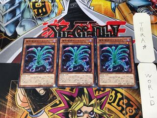 Predaplant Sarraceniant SPFE 5 Normal Set of 3 Tera