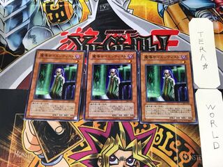 Magical Scientist 303 2 Normal, set of 3 Tera.