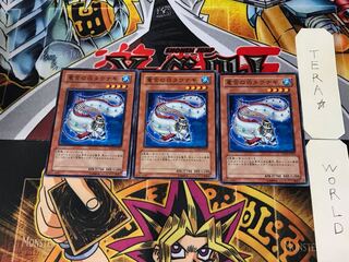 Tau Winona of the Dragon Palace EXP2 1 Normal Set of 3 Tera